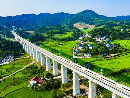 寻找绿色养护路径 相约金秋合肥论道